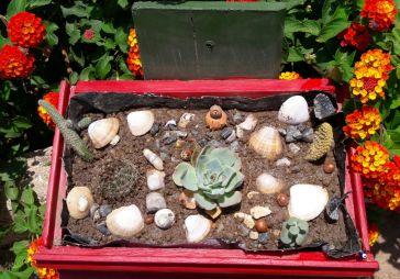 yasayan catili ahsap kus evi 2