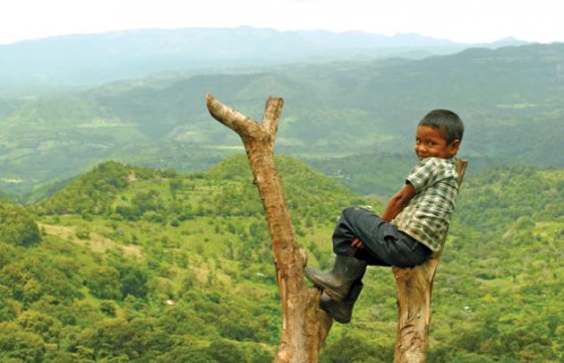 adil ticaret ve cevre hakki
