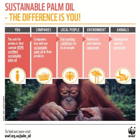 palmiye yagi-wwf