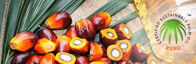 surdurulabilir palmiye hurma yagi